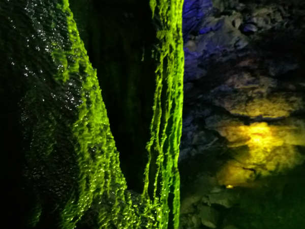 Exploring Odhisha, travel series - 9