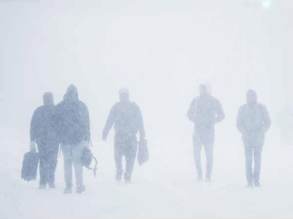 பனிப்புயல் பாம் 