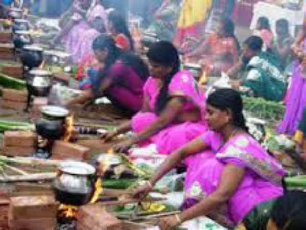 காணும் பொங்கல்: