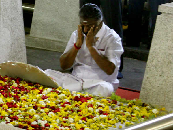 சாது மிரண்டது 