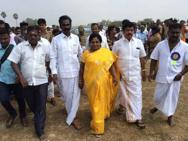 ஜல்லிக்கட்டு போட்டியில் தமிழிசை 