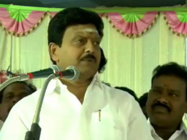 கிளைகள் ஏராளமாக உள்ளன 