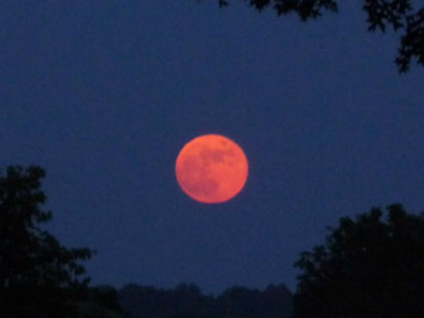 சந்திர கிரஹனம்: