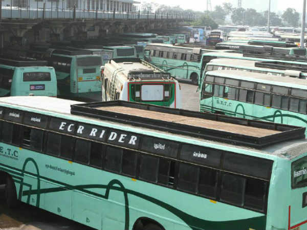 திடீர் அமல் திடீர் அமல்