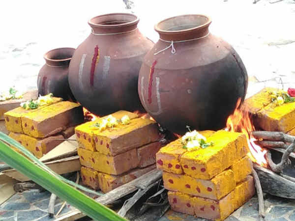 Samathuva Pongal celebration at Peedam - Danvantri Peedam