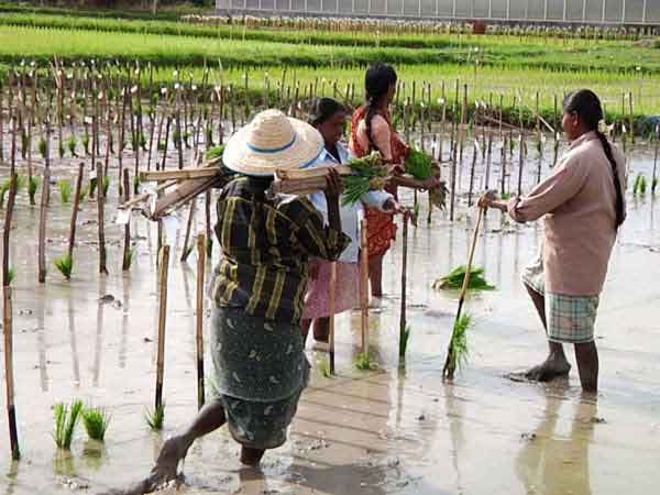 நிதி பற்றாக்குறை