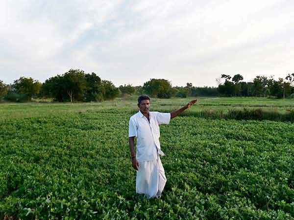 விவசாயத்துறை