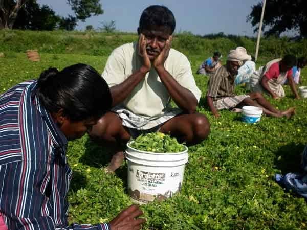 15சதவிகிதம் அதிகம்