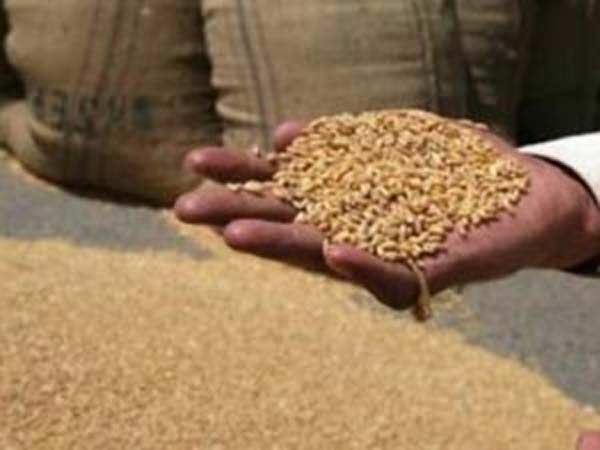 நிர்பயா திட்டத்திற்கு நிதி ஒதுக்கீடு