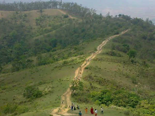 மலைப்பாதையில் நடைபயணம் 