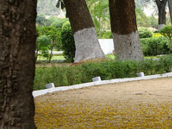 பூங்காவுக்குள் செல்ல அனுமதி 