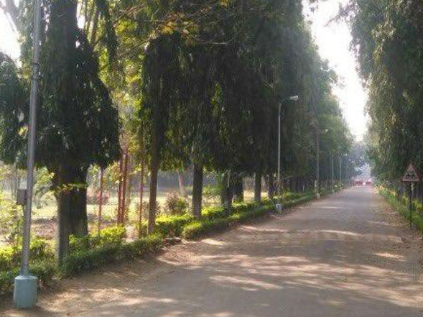 அத்துமீறும் காதலர்கள் 