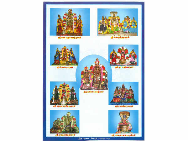 கருடசேவையில் பங்கேற்பு 