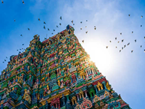 Rathasapthami Festival Homam Surya Homam