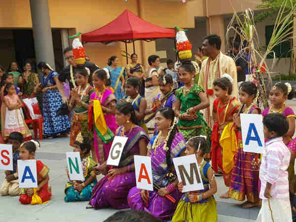 பொங்கல் கொண்டாட்டம் 