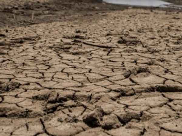 வேளாண்மை நாசமாகும் 