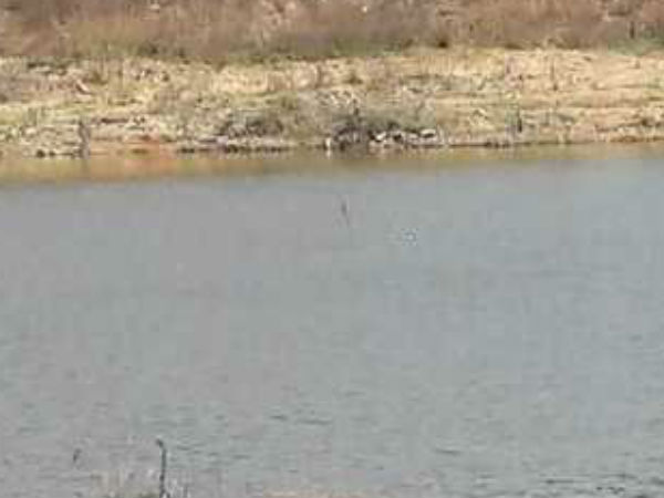 ஏரியில் தமிழர்கள் சடலம் 