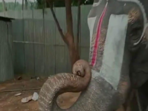 சிகிச்சை 