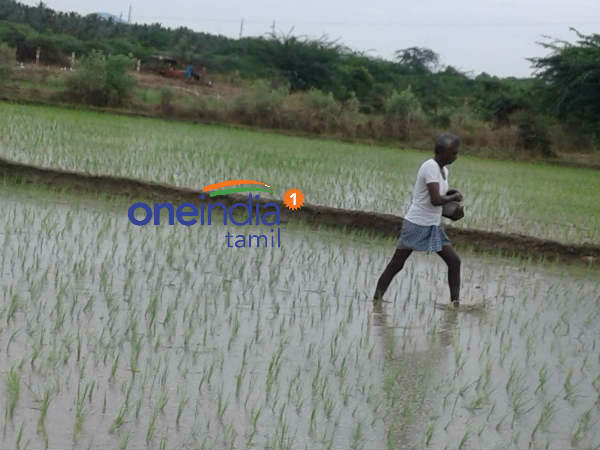 தமிழக நிலையை சரியாக சொல்லவில்லை 