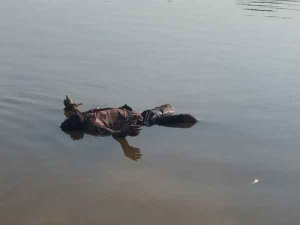 Five bodys rescued in Andra: two identified belongs to Salem district 