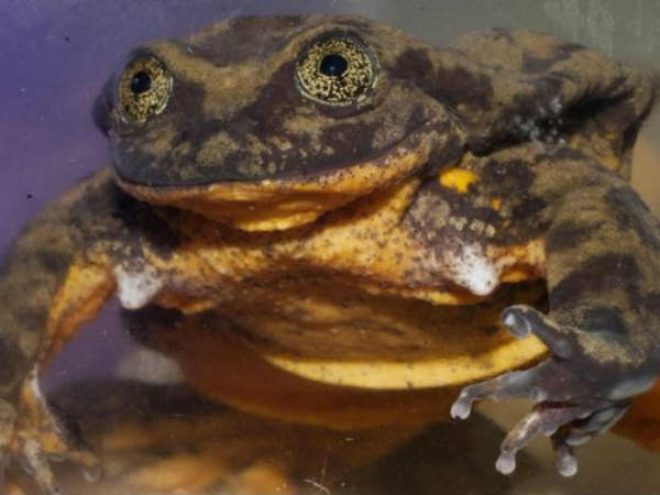 அனைத்து வசதிகளும் தயார்