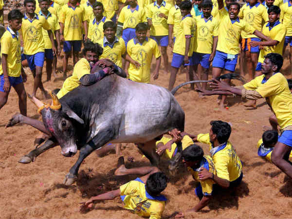 தமிழக அரசுக்கு நோட்டீஸ் 