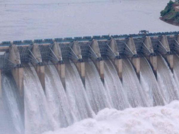 உப்புநீக்கும் தாவரங்கள் 