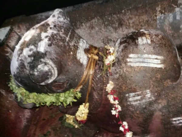மூடி மறைக்கும் அதிகாரிகள் 