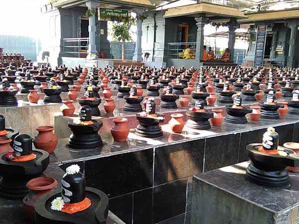 Maha Shivratri rudrabhishek in Shiva temple 