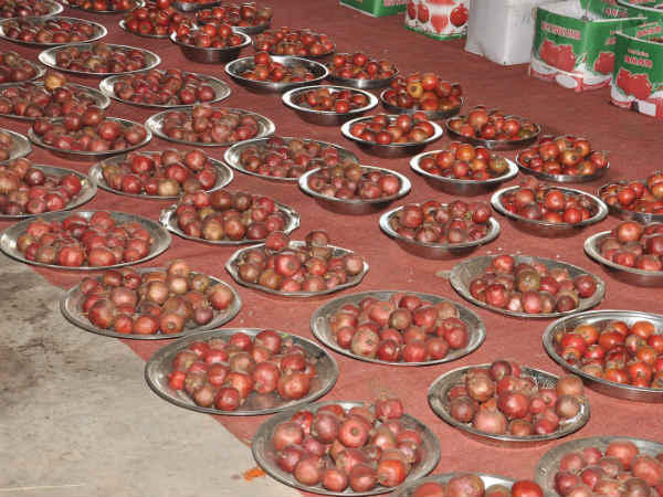 Pomegranate abhishekam for uterus problem