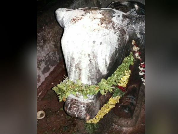 மழை தரும் நந்தி 