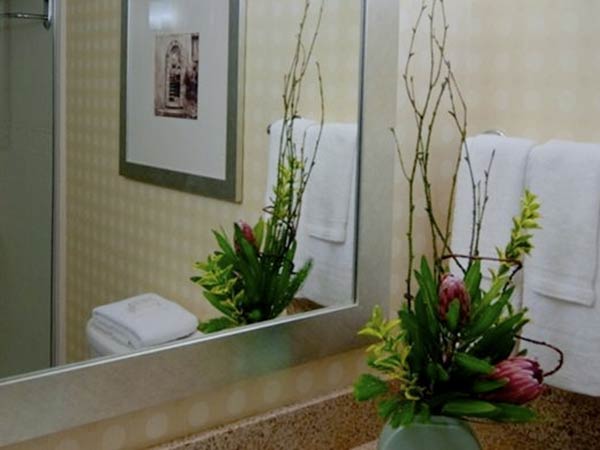 செடி வளர்க்கும் தொட்டி 