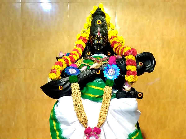 புத்திக்கூர்மை எப்படி? 