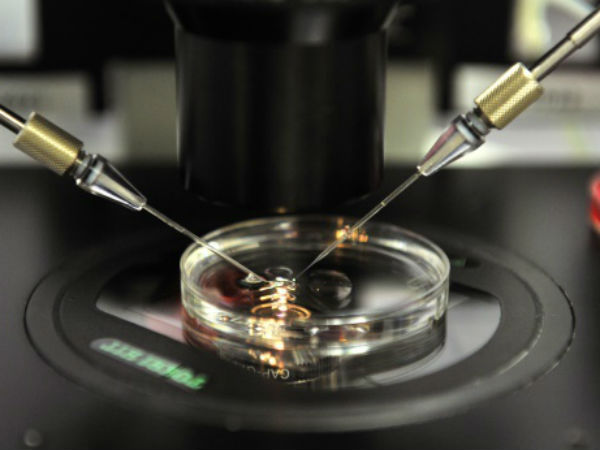 நல்ல பயன் 