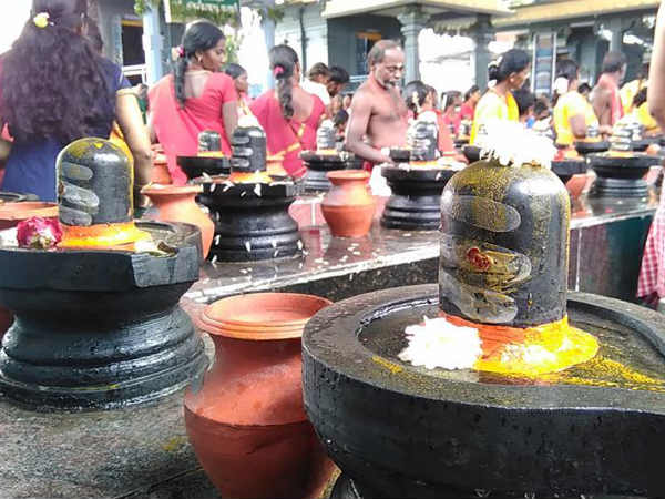 Sivalaya Ottam 2018 Pilgrimage on Maha Shivaratri Sivalaya Ottam 2018 Pilgrimage on Maha Shivaratri