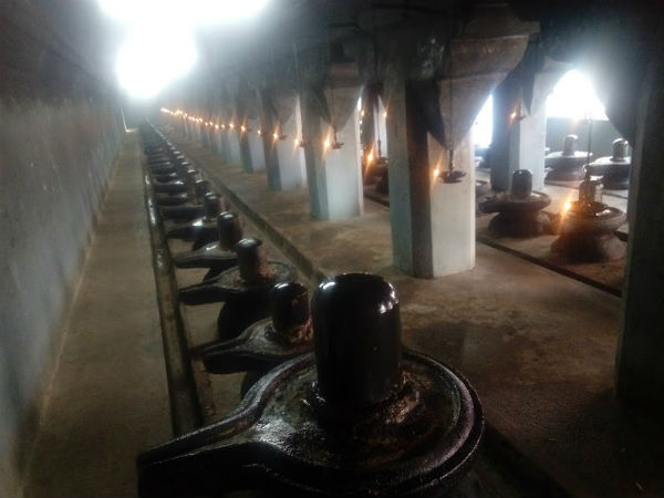 Sivalaya Ottam 2018 Pilgrimage on Maha Shivaratri Sivalaya Ottam 2018 Pilgrimage on Maha Shivaratri