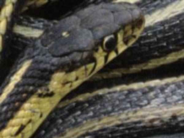 சனி நீங்கும் 