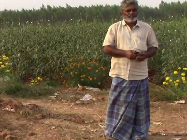 திருஷ்டிக்கா விவசாயி செய்த ஐடியா திருஷ்டிக்கா விவசாயி செய்த ஐடியா