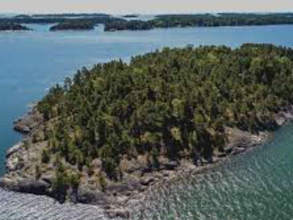 திருப்தியுடன் திரும்புங்கள்