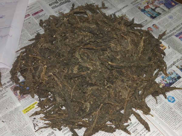 Two Students Arrested For Smuggling Illegal Drugs
