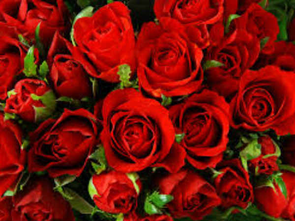 காதலர் தினத்திற்க்கும் ரோஜாவிற்க்கும் என்ன தொடர்பு?