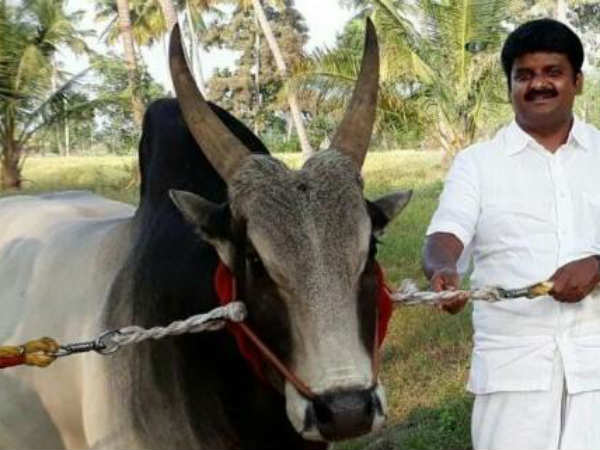 அமைச்சருக்கு கடிதம் 