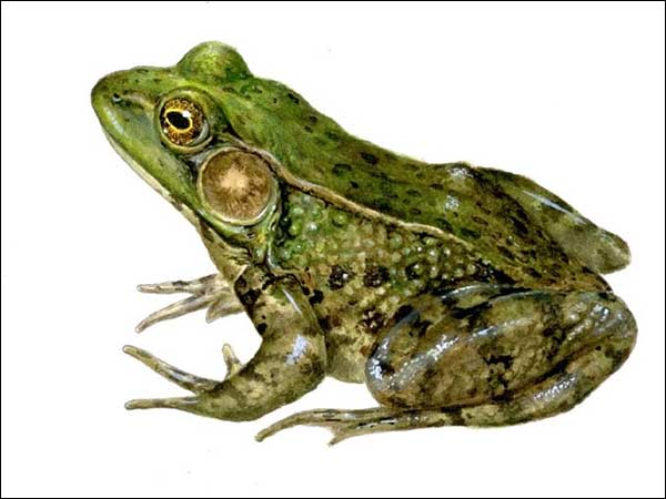 ரோமியோவுக்கு ஜூலியட் கிடைத்தார்