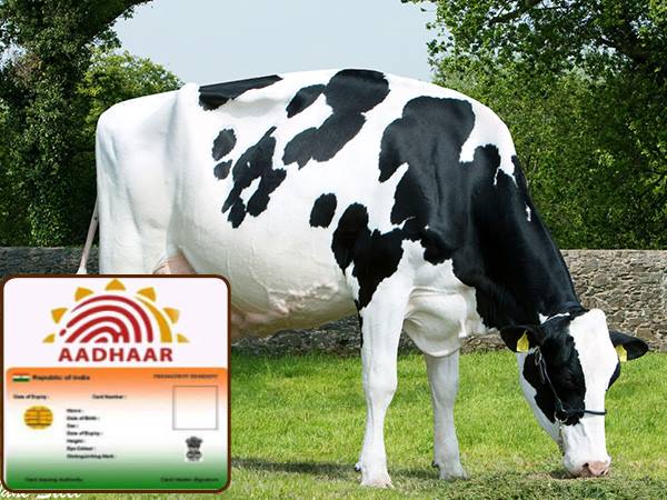 ஆதார் அட்டை 