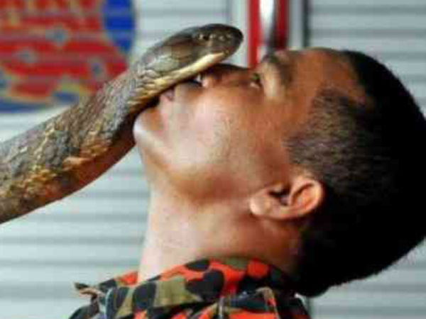 பாம்புகளுடன் விளையாட்டு 