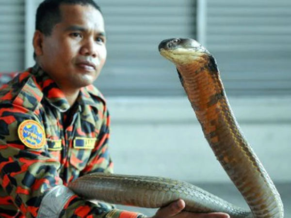 சாகச நிகழ்ச்சிகள் 