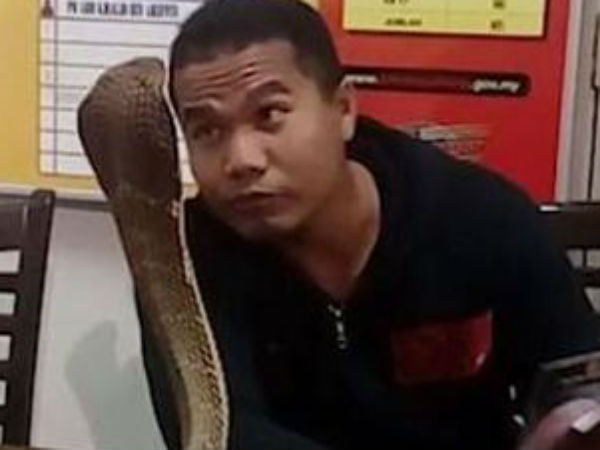 உலா வரும் பாம்புகள் 