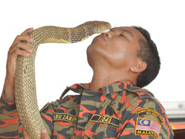 அபுவை கடித்த பாம்பு 