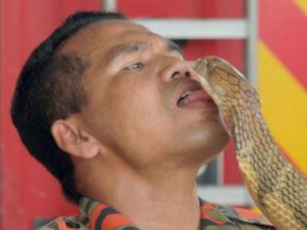 ராஜ நாகம் கடித்தது 