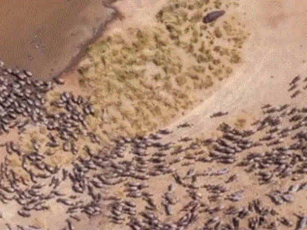 யூகங்கள் 